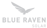 Blue Raven Logo